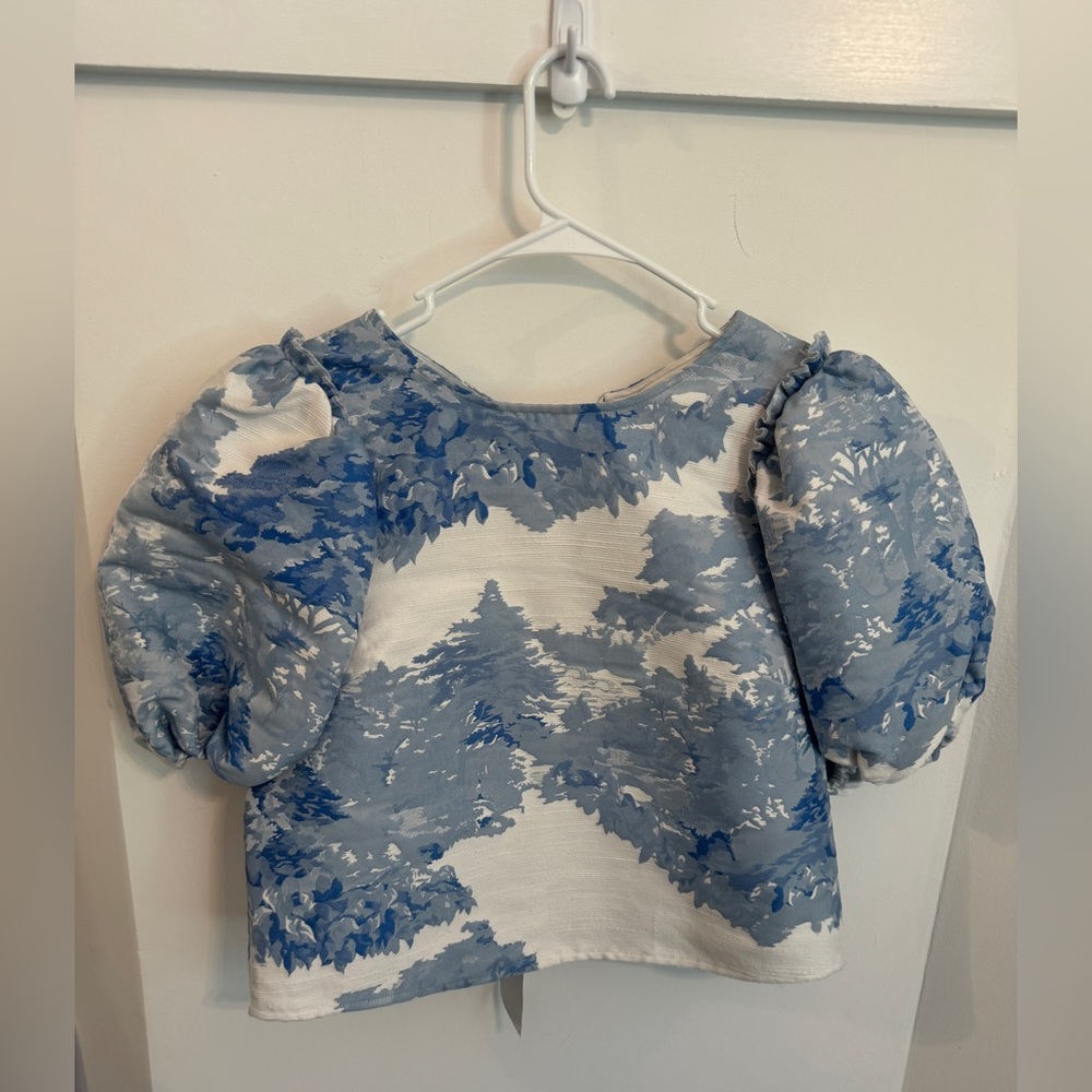 Ted Baker Ivria Puff Sleeve Toile Pattern